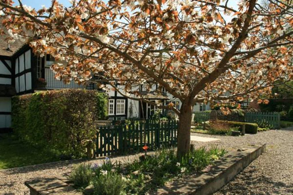 Peel Cottage, Dilwyn Quarto foto